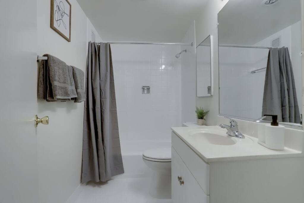 Elegant Apartment W Views At Crystal City Арлінгтон Екстер'єр фото